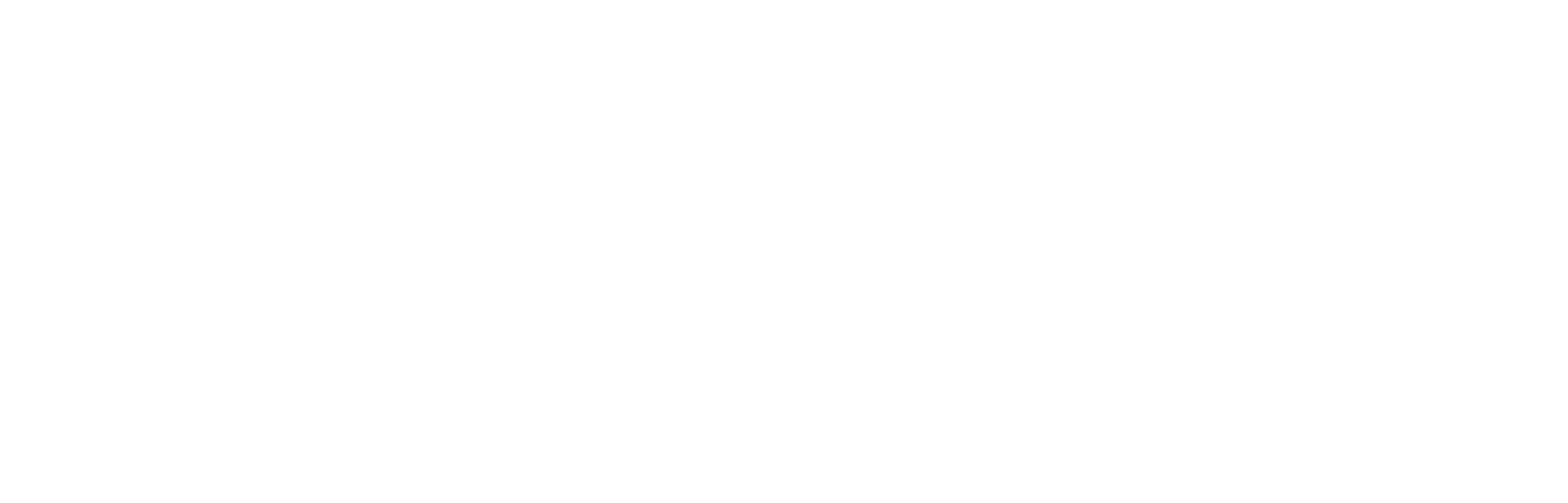 BrandsTravel